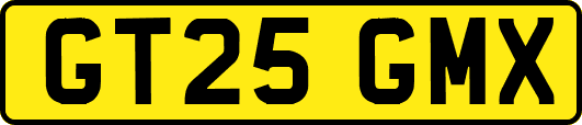 GT25GMX