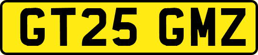 GT25GMZ
