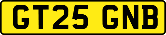 GT25GNB