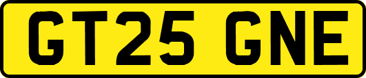 GT25GNE