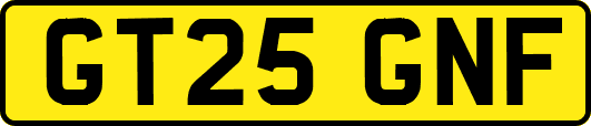 GT25GNF