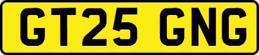 GT25GNG