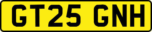 GT25GNH