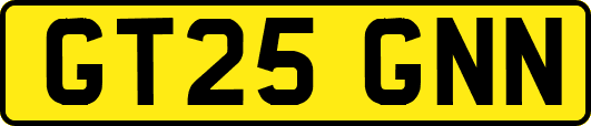 GT25GNN
