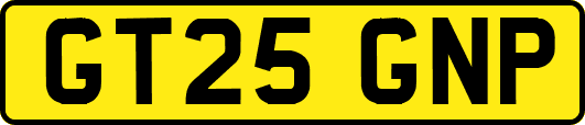 GT25GNP