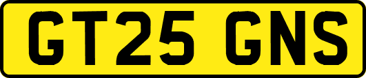 GT25GNS