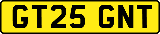 GT25GNT