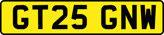 GT25GNW