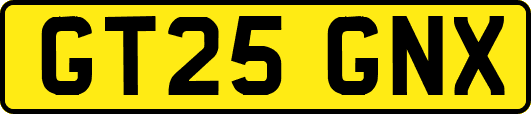 GT25GNX