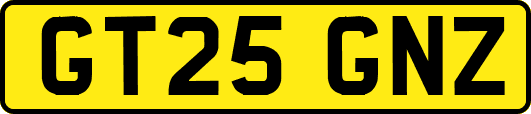 GT25GNZ