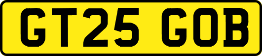 GT25GOB