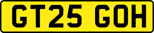 GT25GOH