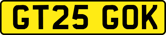 GT25GOK