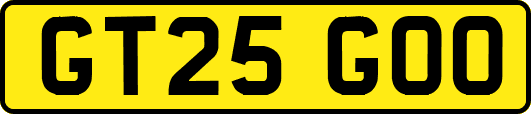 GT25GOO