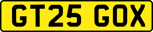 GT25GOX