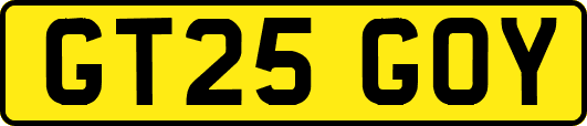 GT25GOY