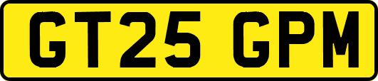 GT25GPM
