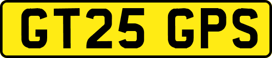 GT25GPS