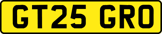GT25GRO