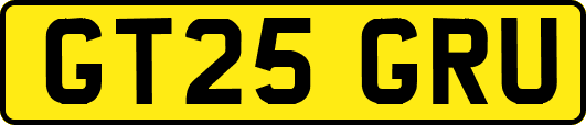 GT25GRU