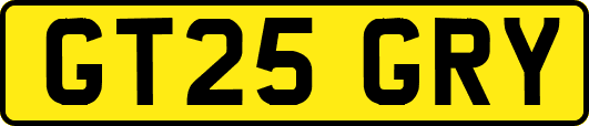 GT25GRY