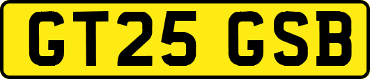 GT25GSB