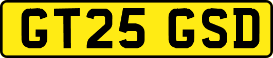 GT25GSD