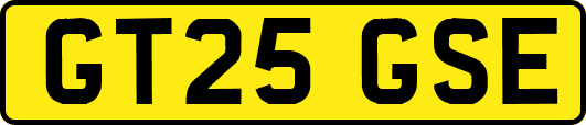 GT25GSE