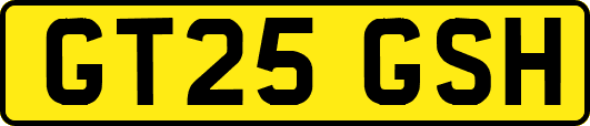 GT25GSH