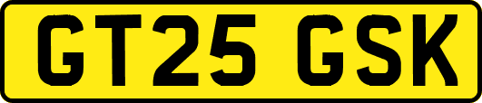 GT25GSK