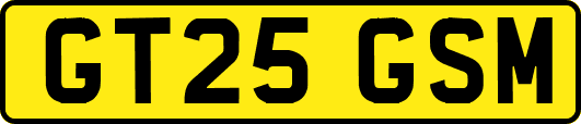 GT25GSM