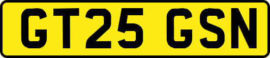 GT25GSN