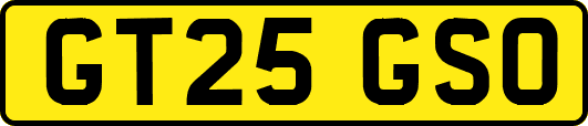 GT25GSO