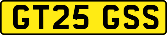 GT25GSS