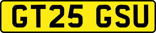 GT25GSU