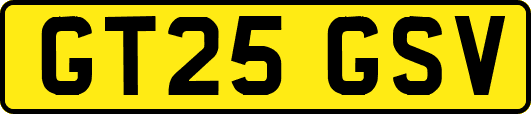 GT25GSV