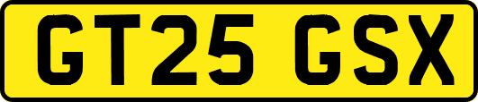 GT25GSX