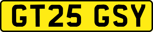 GT25GSY