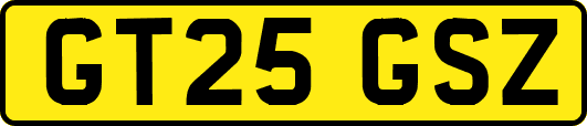 GT25GSZ