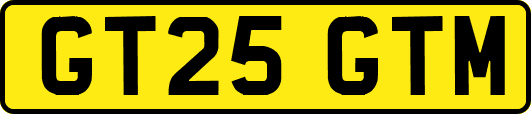 GT25GTM
