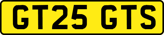 GT25GTS