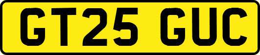 GT25GUC