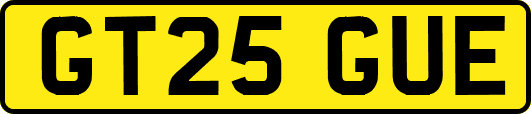 GT25GUE