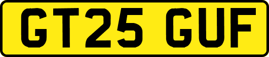 GT25GUF