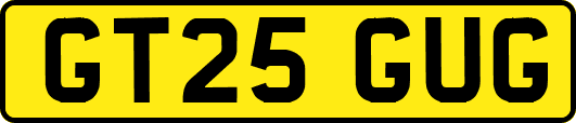 GT25GUG