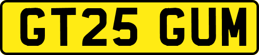 GT25GUM