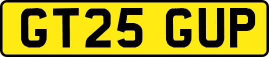 GT25GUP