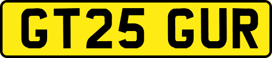 GT25GUR