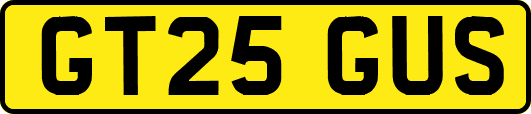 GT25GUS