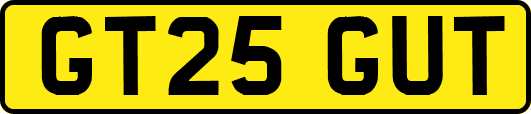 GT25GUT